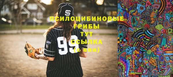 гидропоника Карталы
