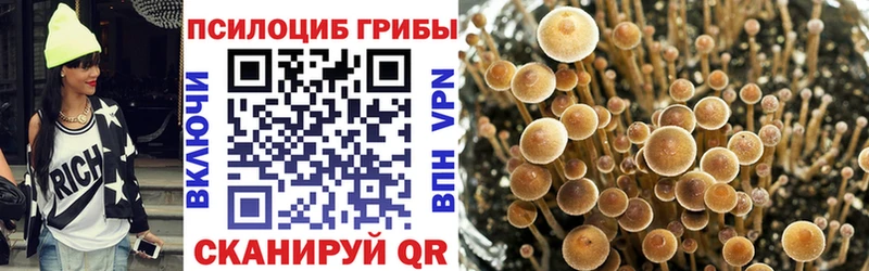 Купить  Выборг  Псилоцибиновые грибы прущие грибы 